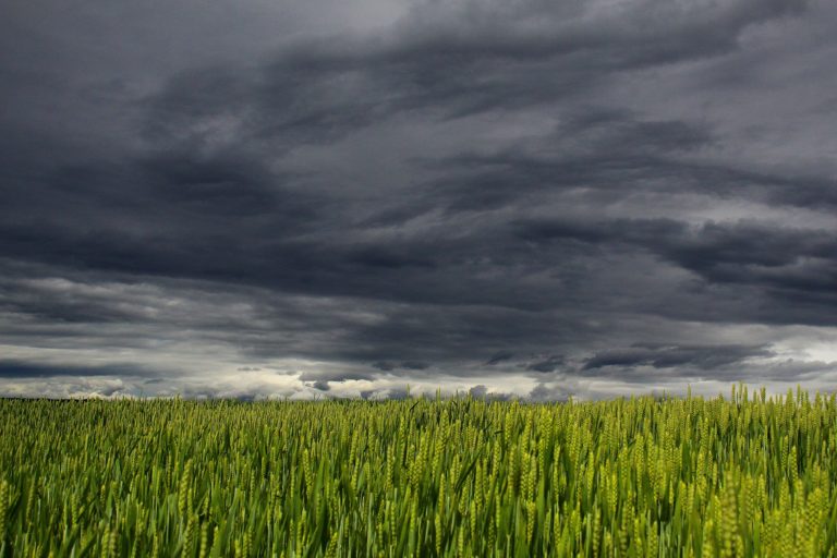 Grüne NRW: Drastische Folgen des Klimawandels für NRW